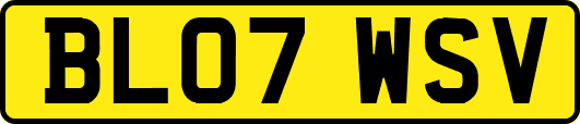 BL07WSV