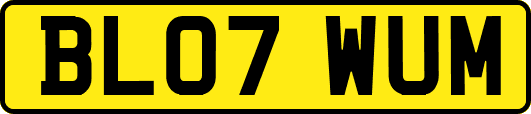 BL07WUM