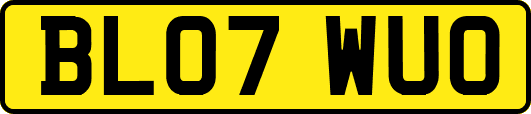 BL07WUO