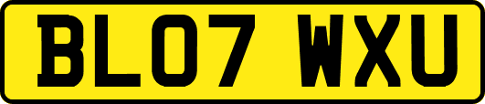 BL07WXU