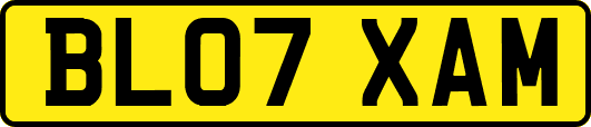BL07XAM