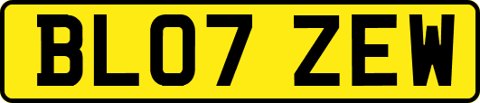 BL07ZEW