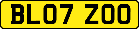 BL07ZOO