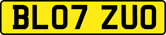 BL07ZUO