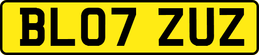 BL07ZUZ
