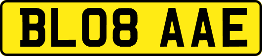 BL08AAE
