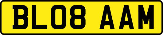 BL08AAM