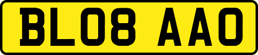BL08AAO