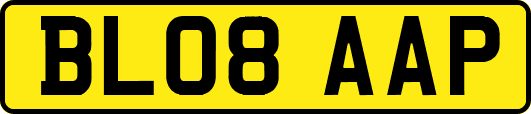 BL08AAP