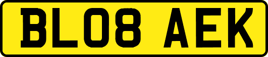 BL08AEK