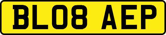 BL08AEP