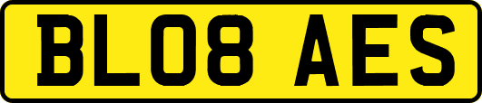 BL08AES