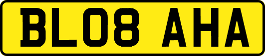 BL08AHA