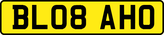 BL08AHO