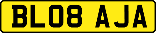 BL08AJA