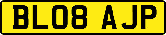 BL08AJP