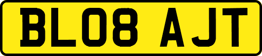 BL08AJT