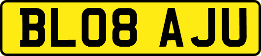 BL08AJU