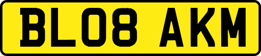 BL08AKM