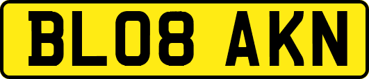 BL08AKN