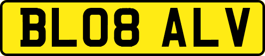 BL08ALV