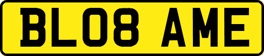 BL08AME