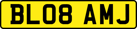 BL08AMJ