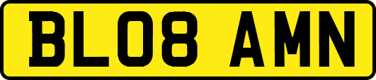BL08AMN