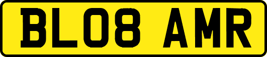 BL08AMR