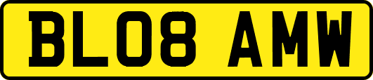 BL08AMW