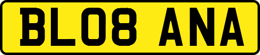 BL08ANA