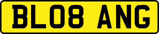 BL08ANG