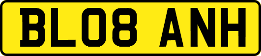 BL08ANH