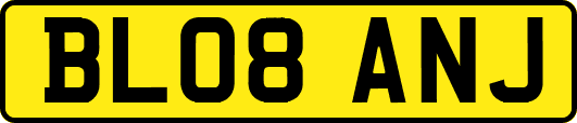 BL08ANJ