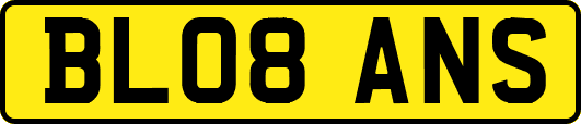 BL08ANS