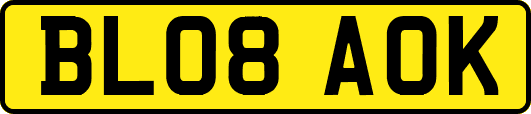 BL08AOK