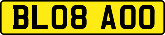 BL08AOO