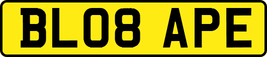 BL08APE