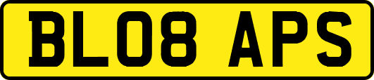 BL08APS