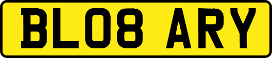 BL08ARY