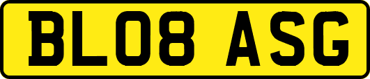 BL08ASG