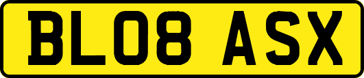 BL08ASX