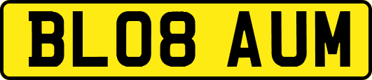 BL08AUM