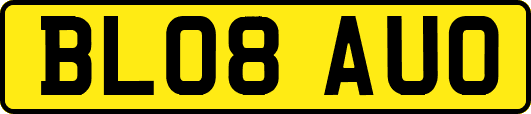 BL08AUO