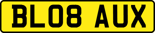 BL08AUX