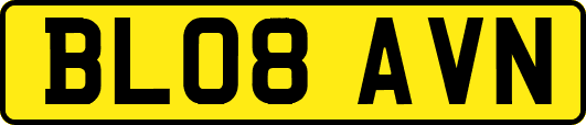 BL08AVN