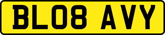 BL08AVY