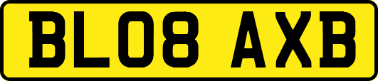 BL08AXB