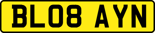 BL08AYN