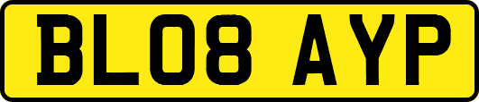 BL08AYP